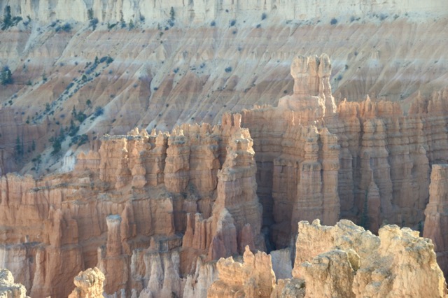 1D030E31-E55E-40DF-9015-FC10A3196836_1_105_c.jpeg