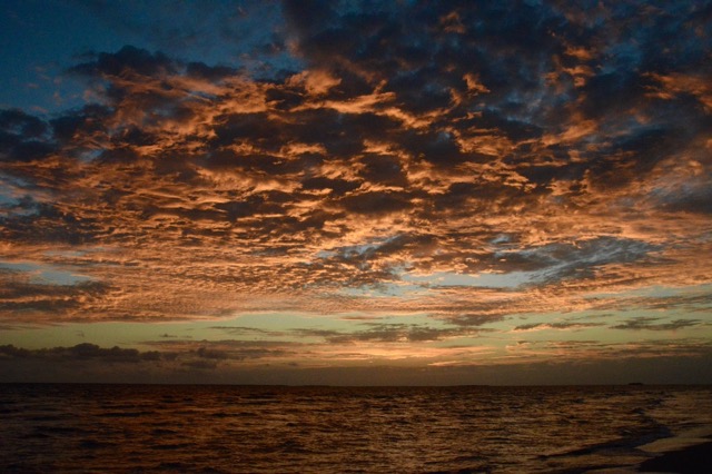 D7335C25-B0FD-4ED6-AD6D-D9CB1214C7D1_1_105_c.jpeg