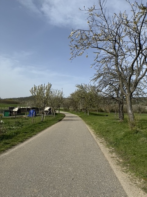 EEBE0329-00ED-4F4A-88D0-17194A4BE94E_1_105_c.jpeg