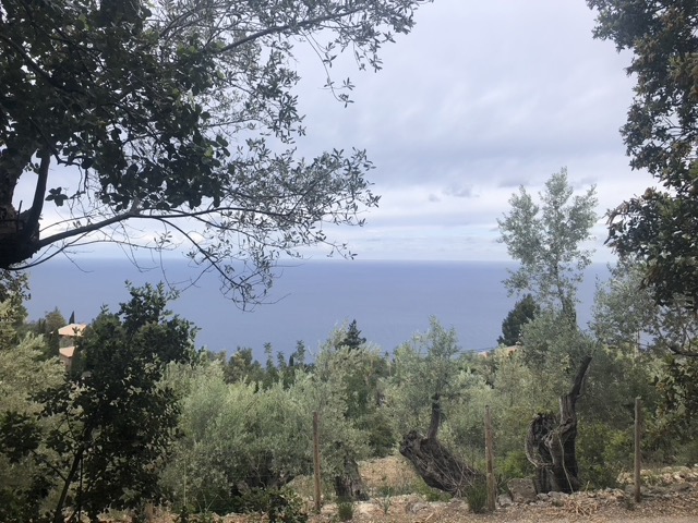 Deia