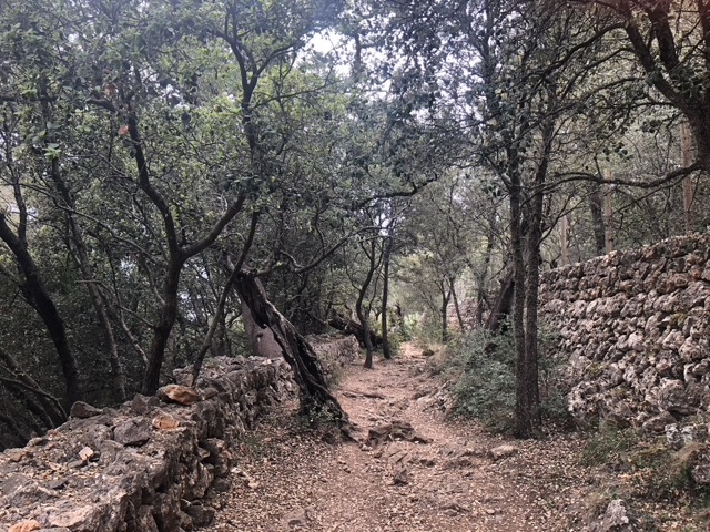 Deia