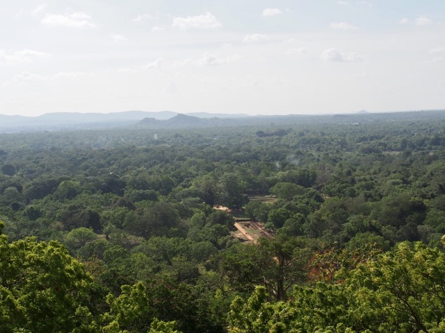 5F263137-3B33-4E08-877F-997945E47098_1_105_c.jpeg